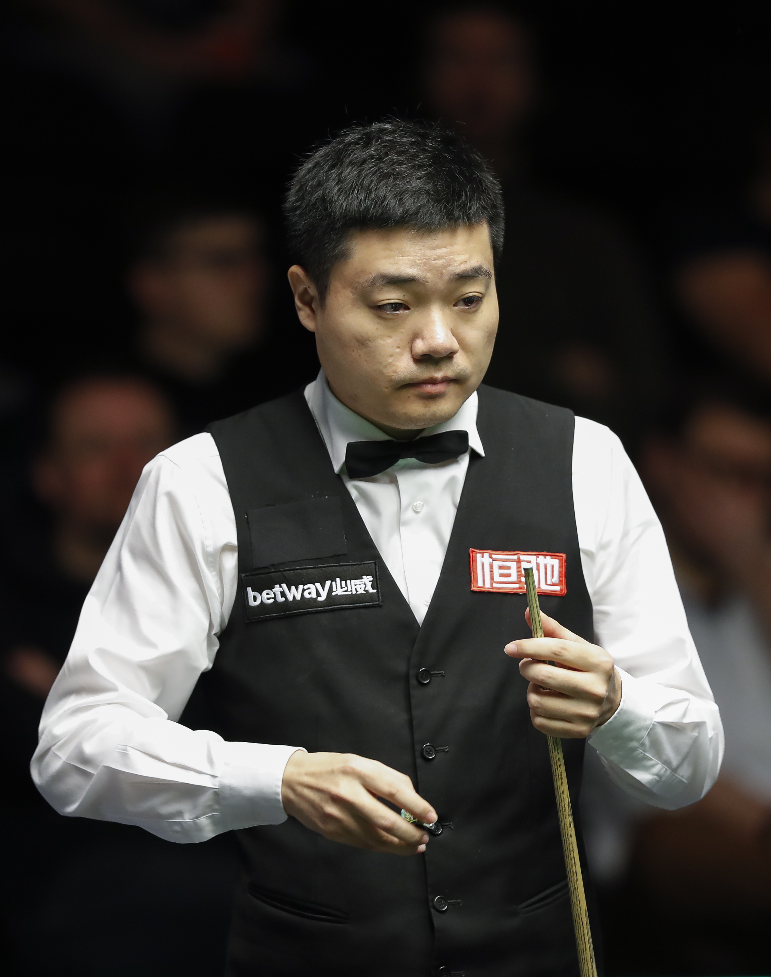 在近年来的 在近年来的