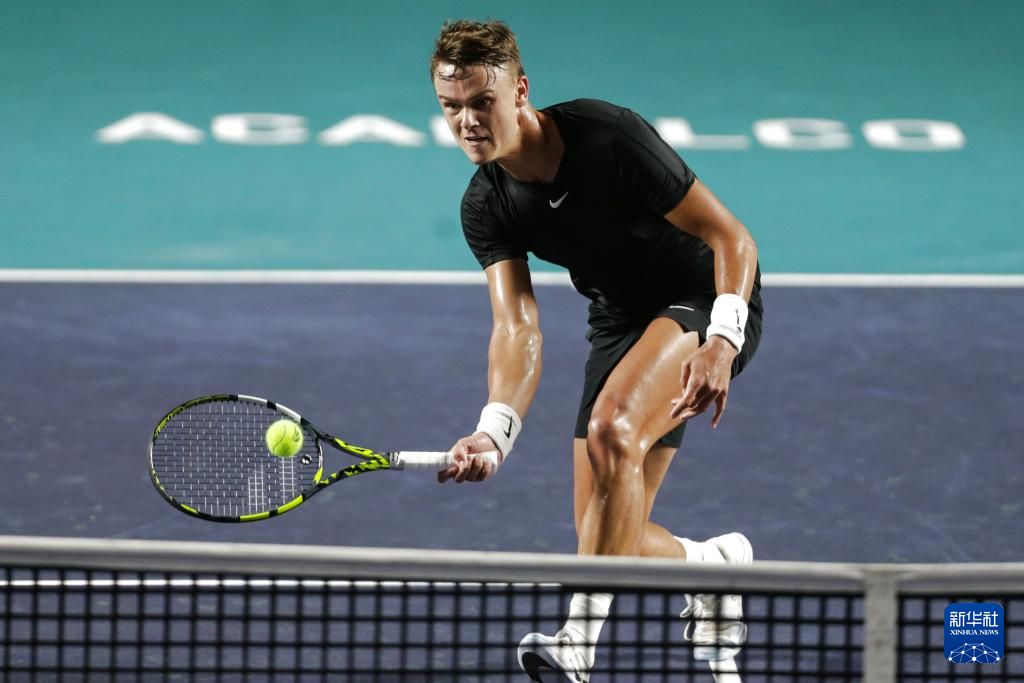 体系中有着 体系中有着