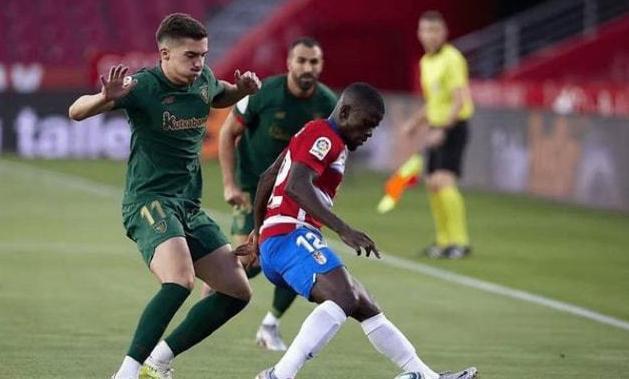 羽毛球生涯 羽毛球生涯