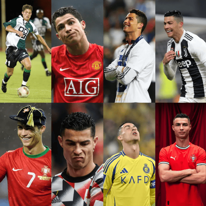 分曲线的细 分曲线的细